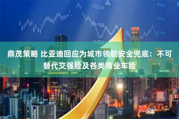 鼎茂策略 比亚迪回应为城市领航安全兜底：不可替代交强险及各类商业车险
